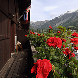 Prezzi appartamento Bormio